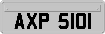 AXP5101