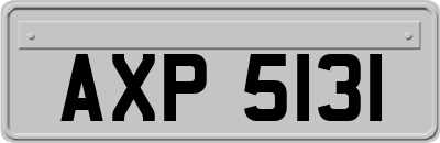 AXP5131