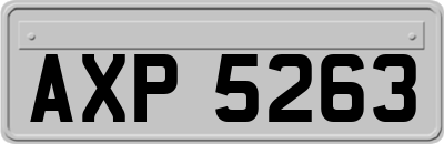 AXP5263