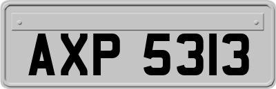 AXP5313