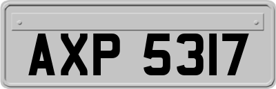 AXP5317