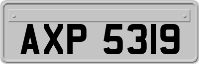 AXP5319