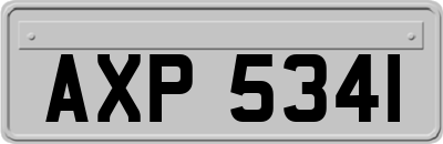 AXP5341