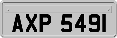 AXP5491