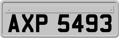 AXP5493