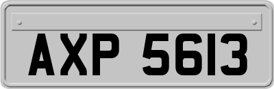 AXP5613