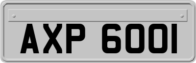 AXP6001