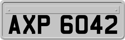 AXP6042