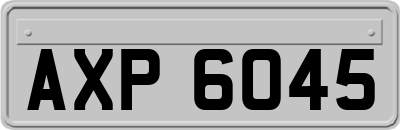 AXP6045