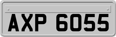 AXP6055
