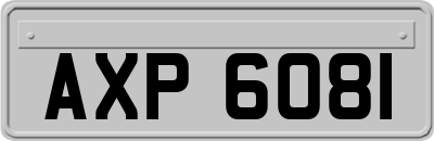 AXP6081