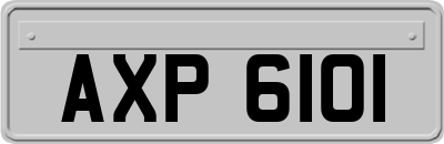AXP6101