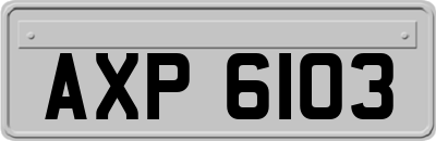 AXP6103