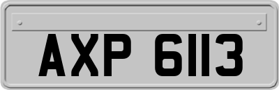 AXP6113