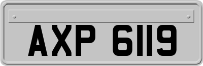 AXP6119