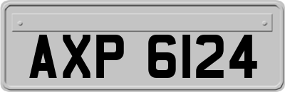 AXP6124