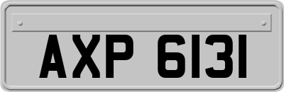 AXP6131