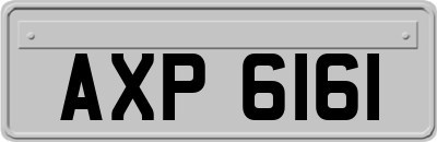 AXP6161