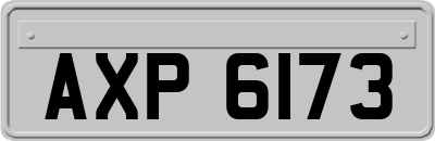 AXP6173
