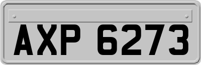 AXP6273