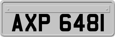 AXP6481