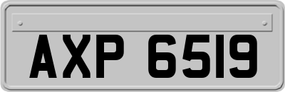 AXP6519