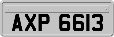 AXP6613