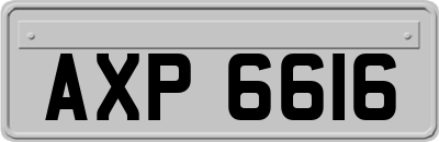 AXP6616