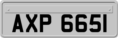 AXP6651