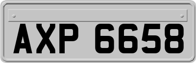 AXP6658