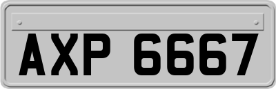 AXP6667