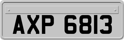 AXP6813