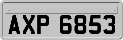 AXP6853