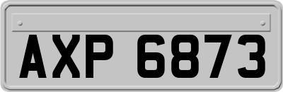 AXP6873