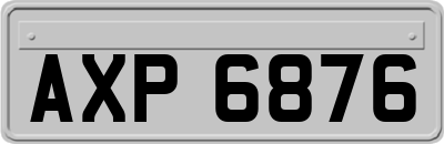 AXP6876