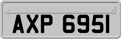 AXP6951