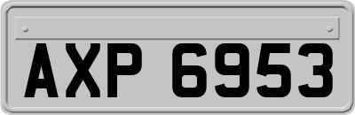 AXP6953