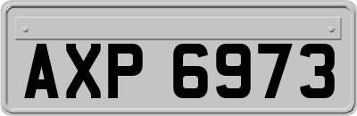 AXP6973