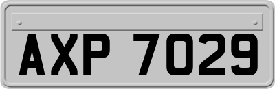 AXP7029