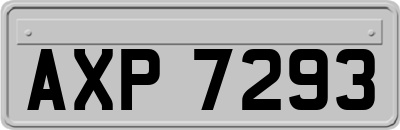 AXP7293