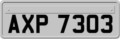AXP7303