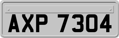 AXP7304
