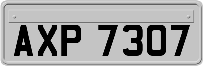 AXP7307