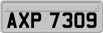 AXP7309