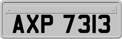 AXP7313