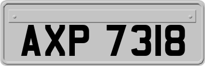 AXP7318