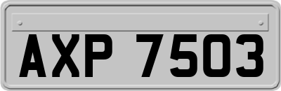 AXP7503