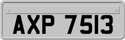 AXP7513