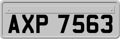 AXP7563