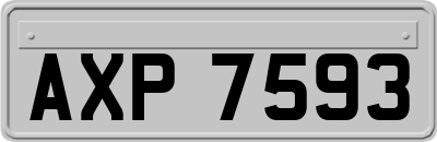 AXP7593